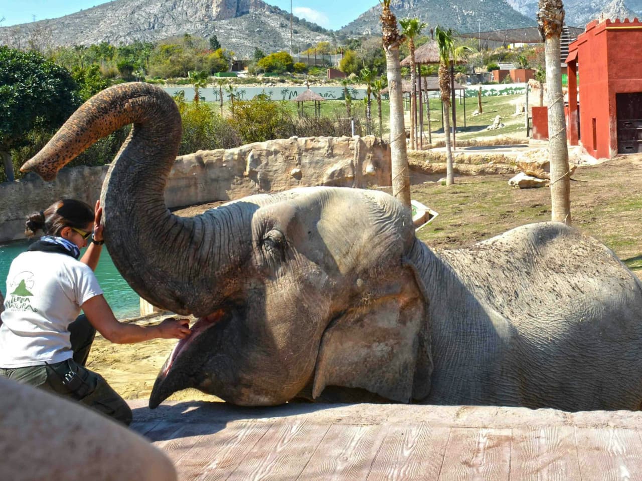 Terra Natura Benidorm: Entry Ticket - تصویر 2