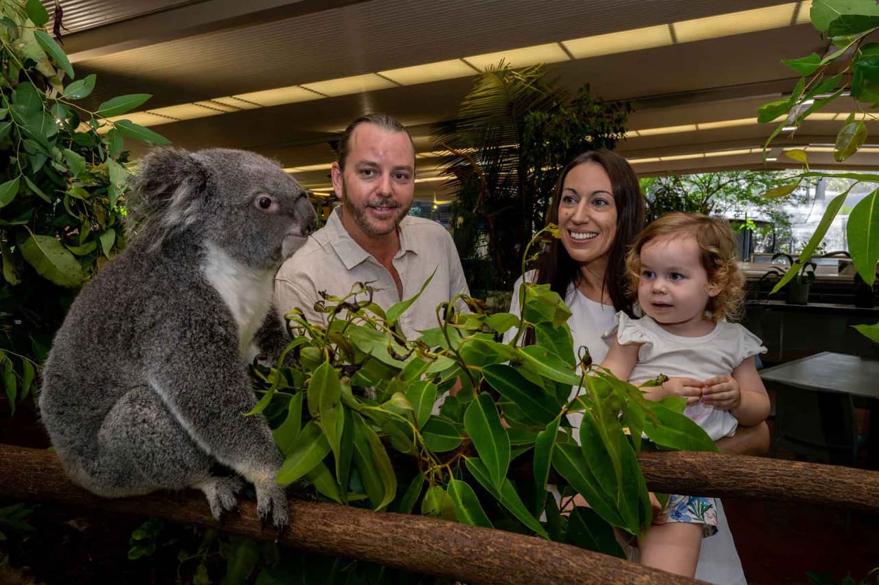 Wildlife Habitat Port Douglas Ticket - تصویر اصلی