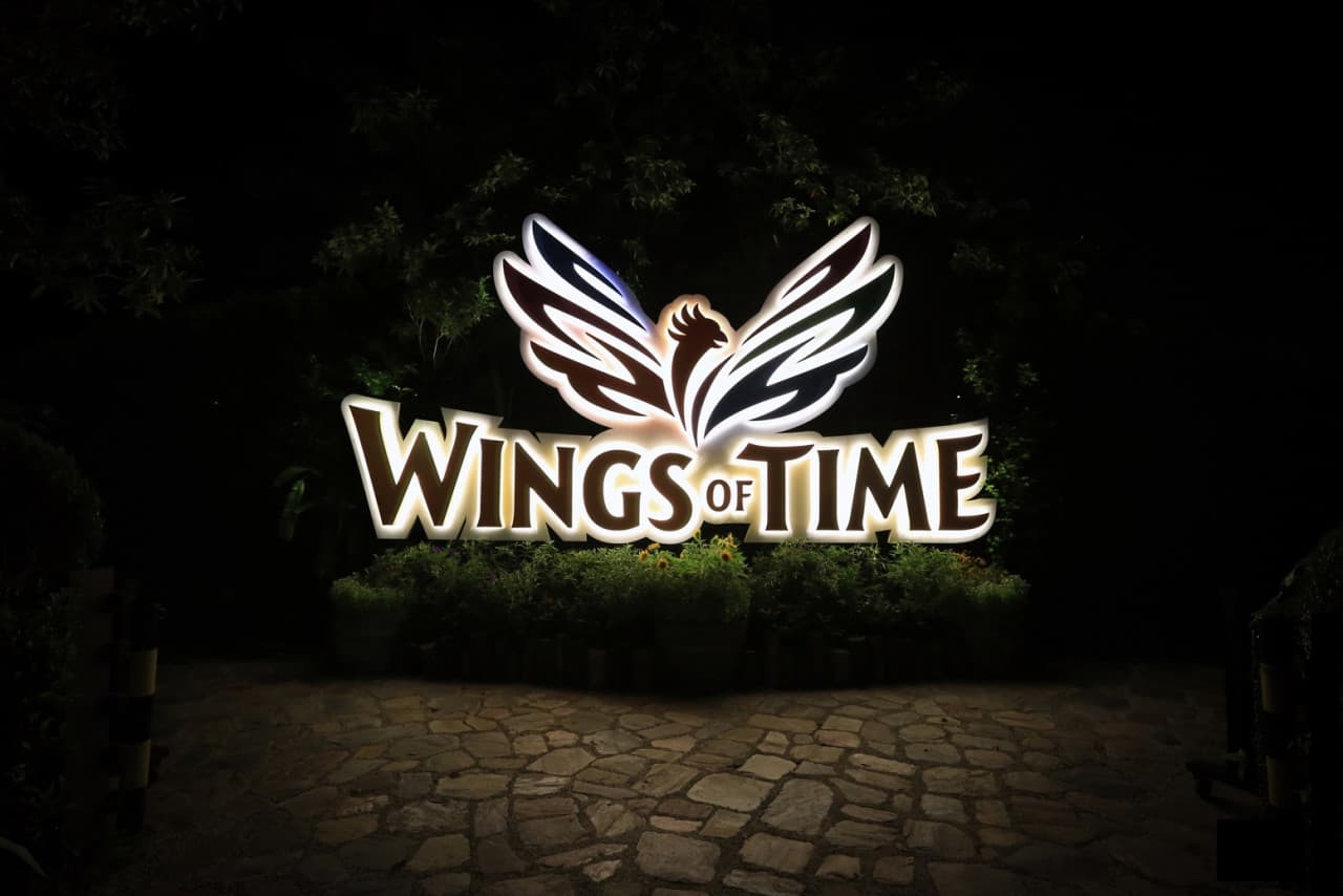 Wings of Time Fireworks Symphony Ticket - تصویر 13