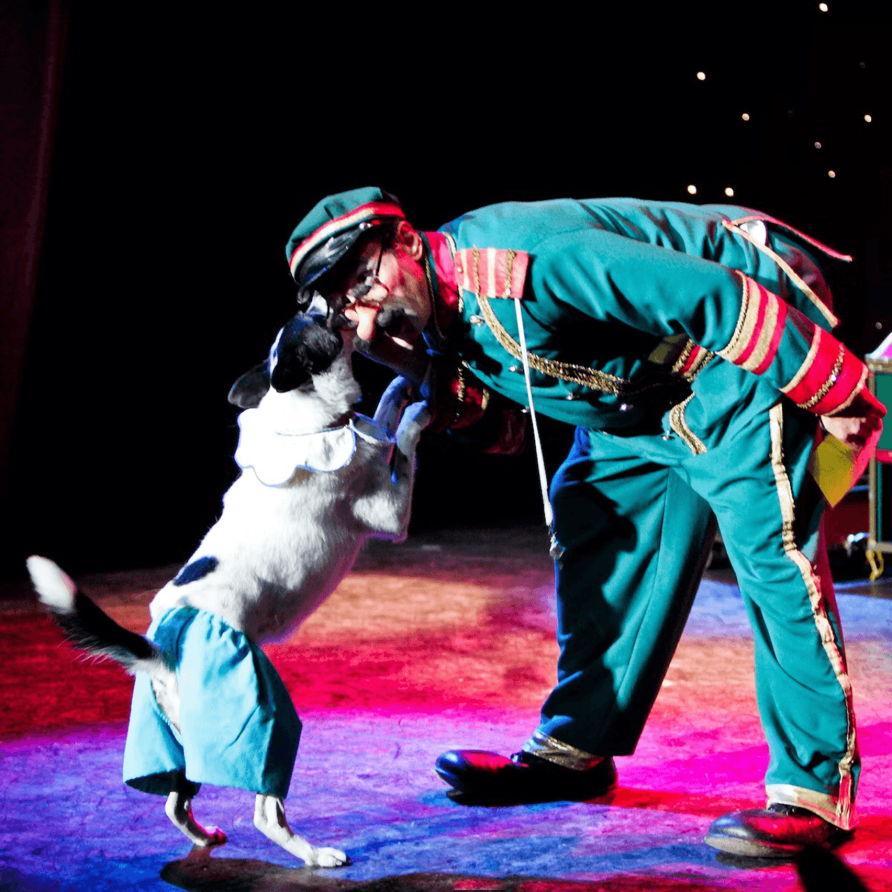 V Theatre Las Vegas - Popovich Comedy Pet Theatre - تصویر 2