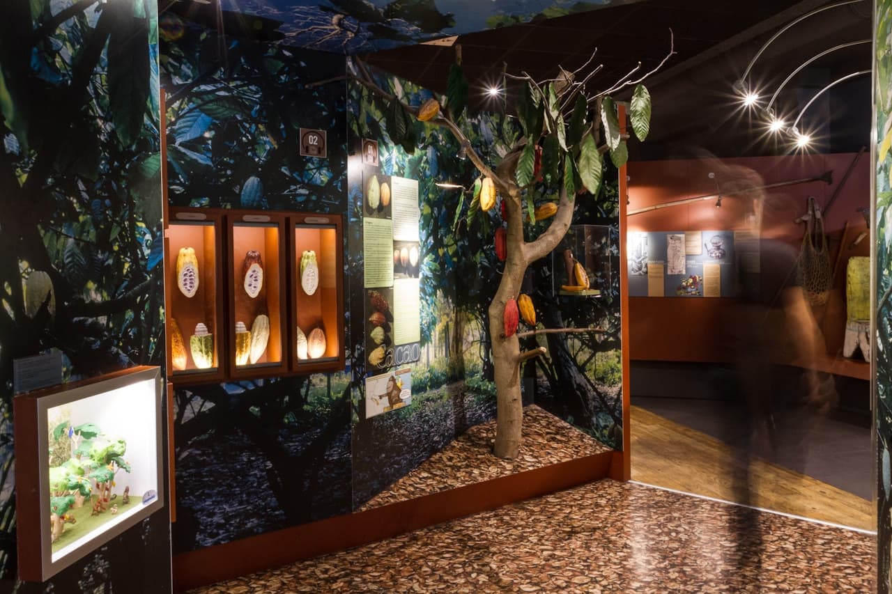 Chocolate Museum – Choco-Story Paris - تصویر 5