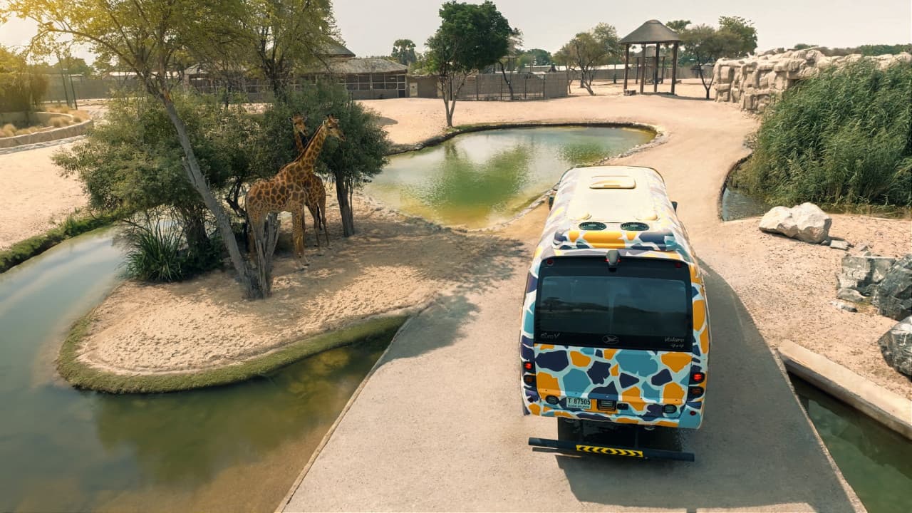 Dubai Safari Park Ticket - تصویر 28