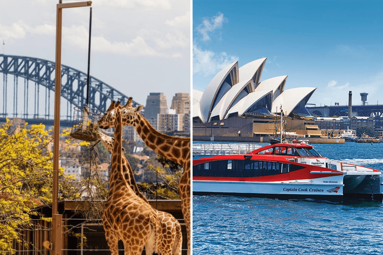 Taronga Zoo Ticket with Optional Round Trip Ferry - تصویر اصلی