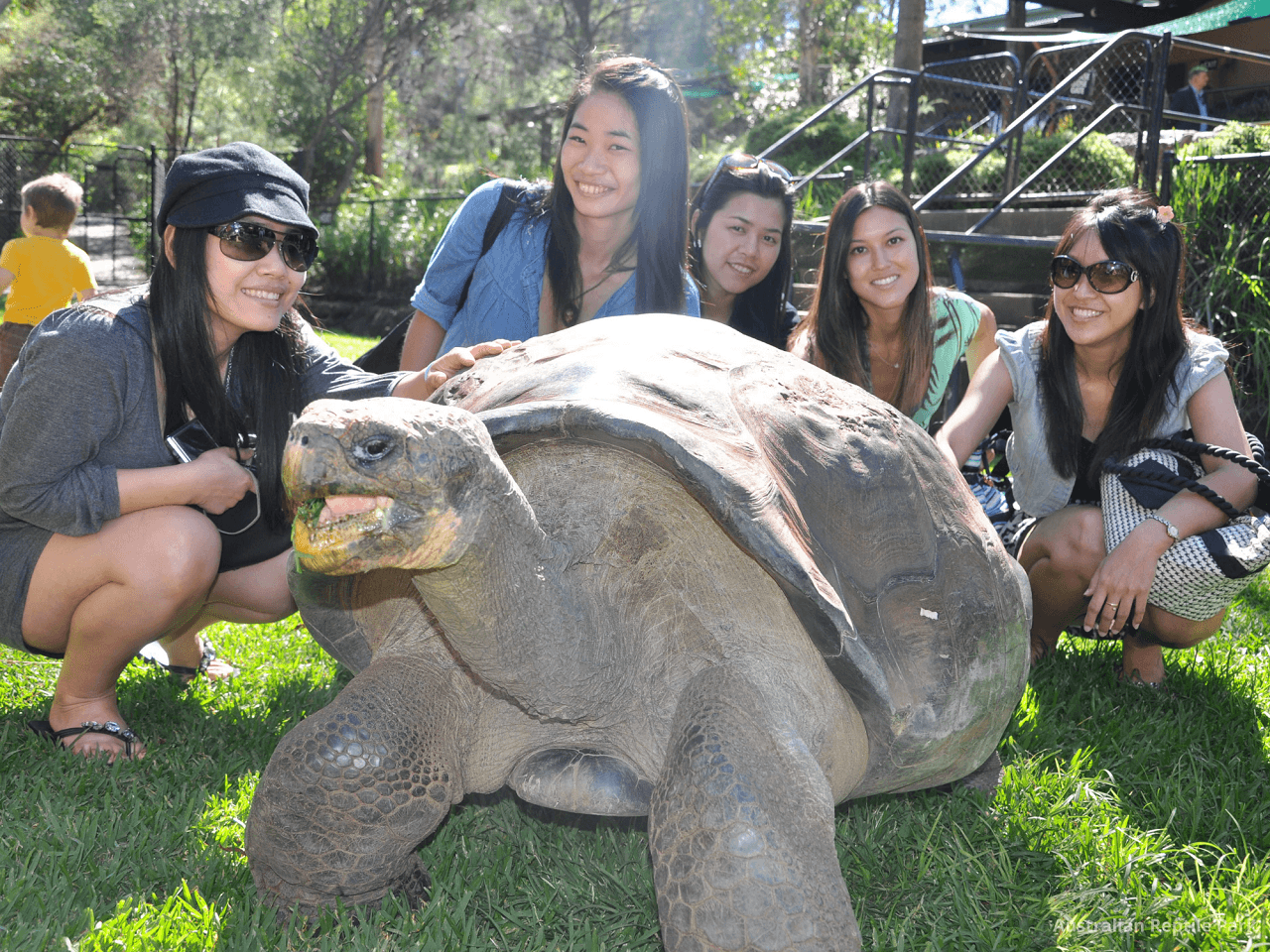 Australian Reptile Park - تصویر 11