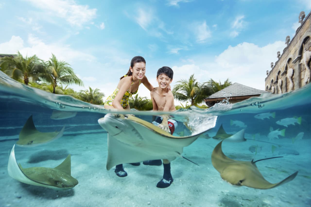 Adventure Cove Waterpark‎ Express Pass - تصویر 3