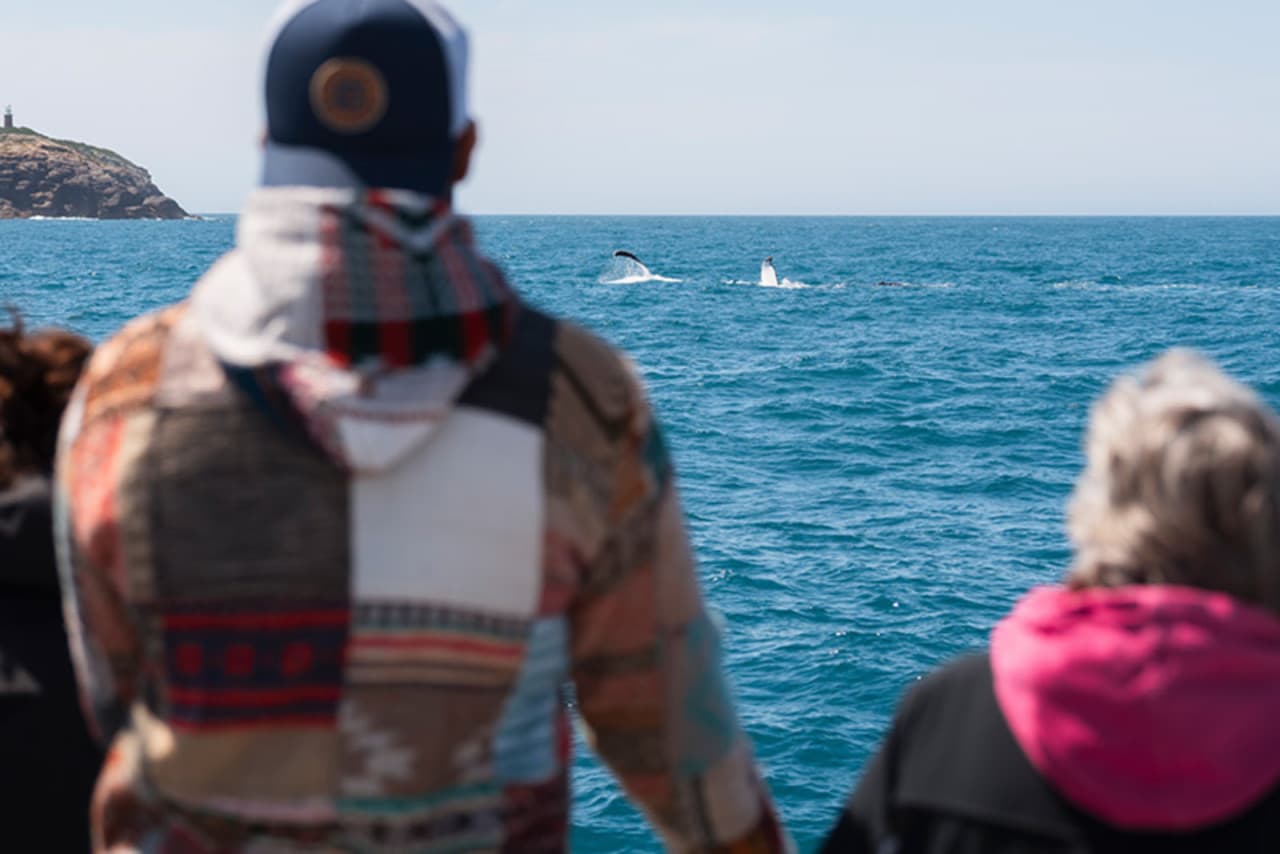 Wilsons Promontory Whale Watching Sightseeing Cruise - تصویر 6