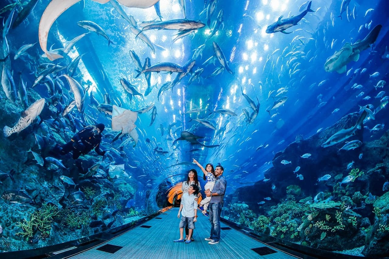 Go City Dubai Highlights Pass: Save up to 50% on Attractions - تصویر 11