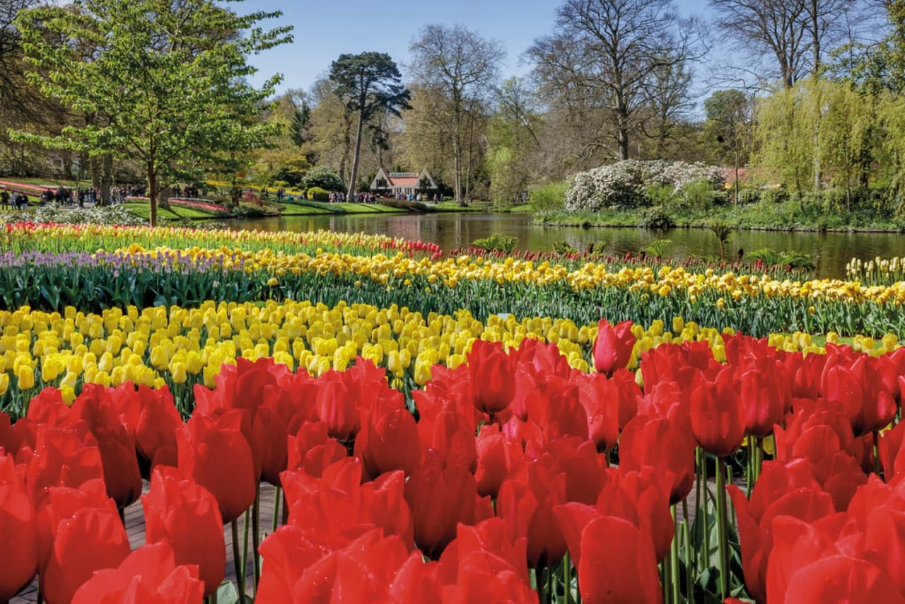 Keukenhof Gardens Ticket with Round Trip Bus Transfer from Amsterdam - تصویر 8