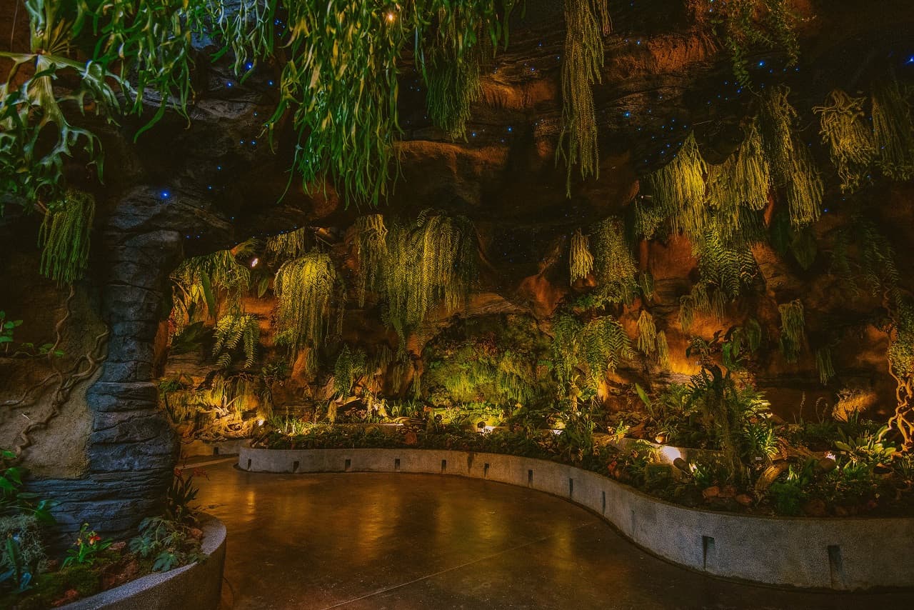 COMBO: Gardens by the Bay - Floral Fantasy + National Orchid Garden - تصویر 10