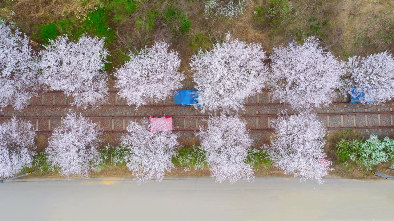 Nami Island, Mount Seorak, and Garden of Morning Calm Full-Day Tour from Seoul - تصویر 25