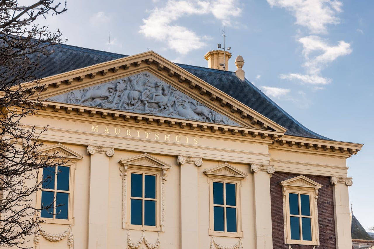 The Mauritshuis Museum Ticket - تصویر 7