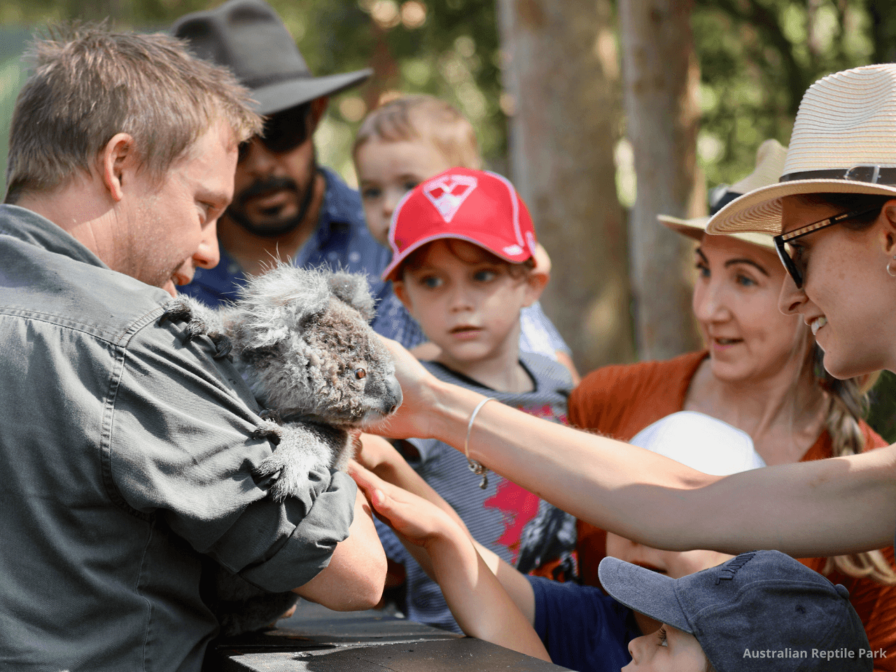 Australian Reptile Park - تصویر 44