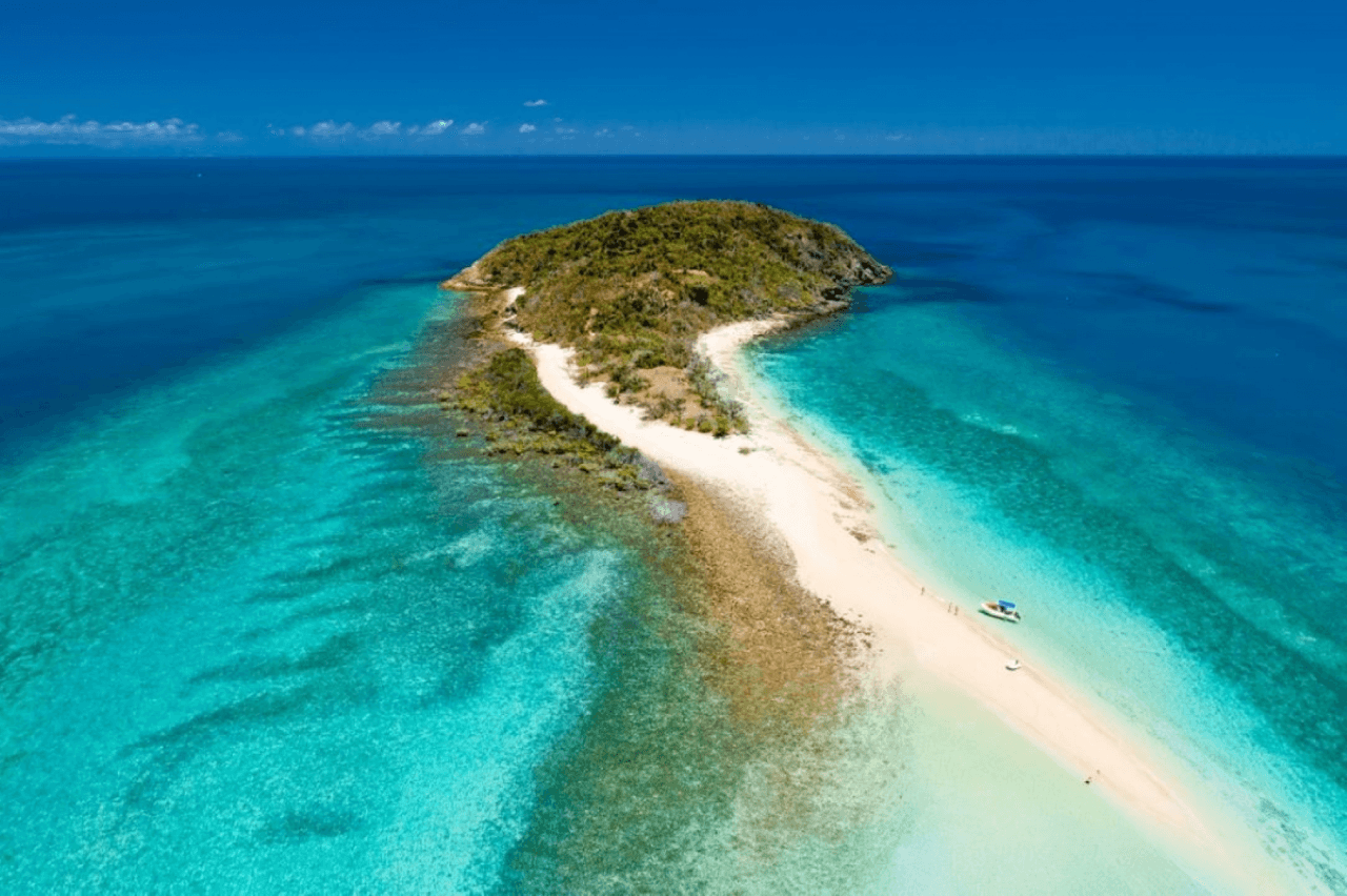 Tongarra Day Sailing Tour - تصویر 9