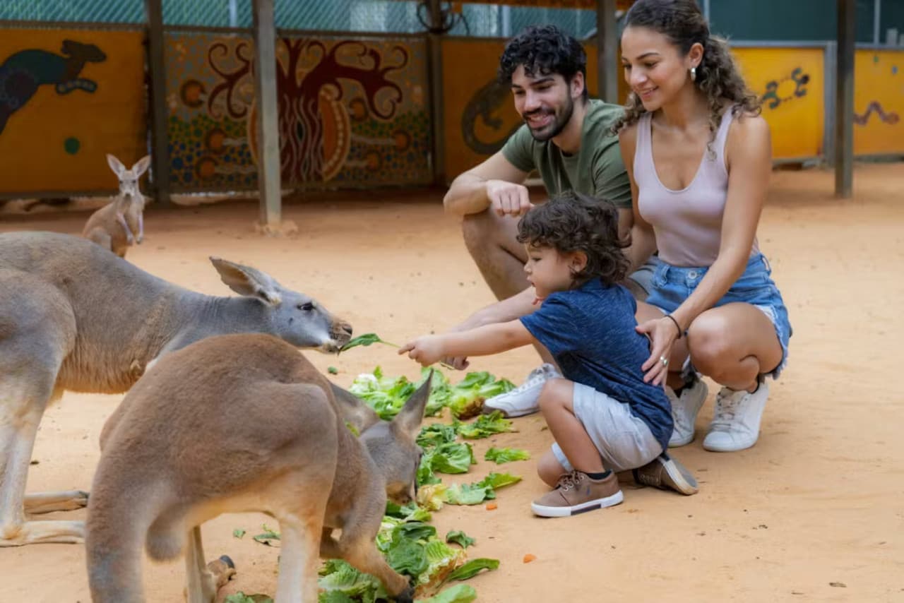 San Antonio Zoo Ticket - تصویر 8