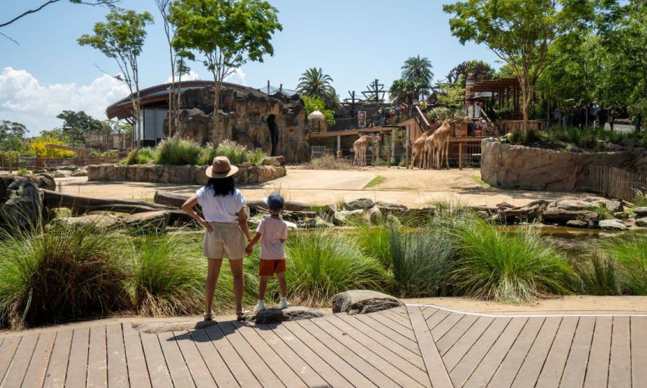 Taronga Zoo Ticket with Optional Round Trip Ferry - تصویر 7
