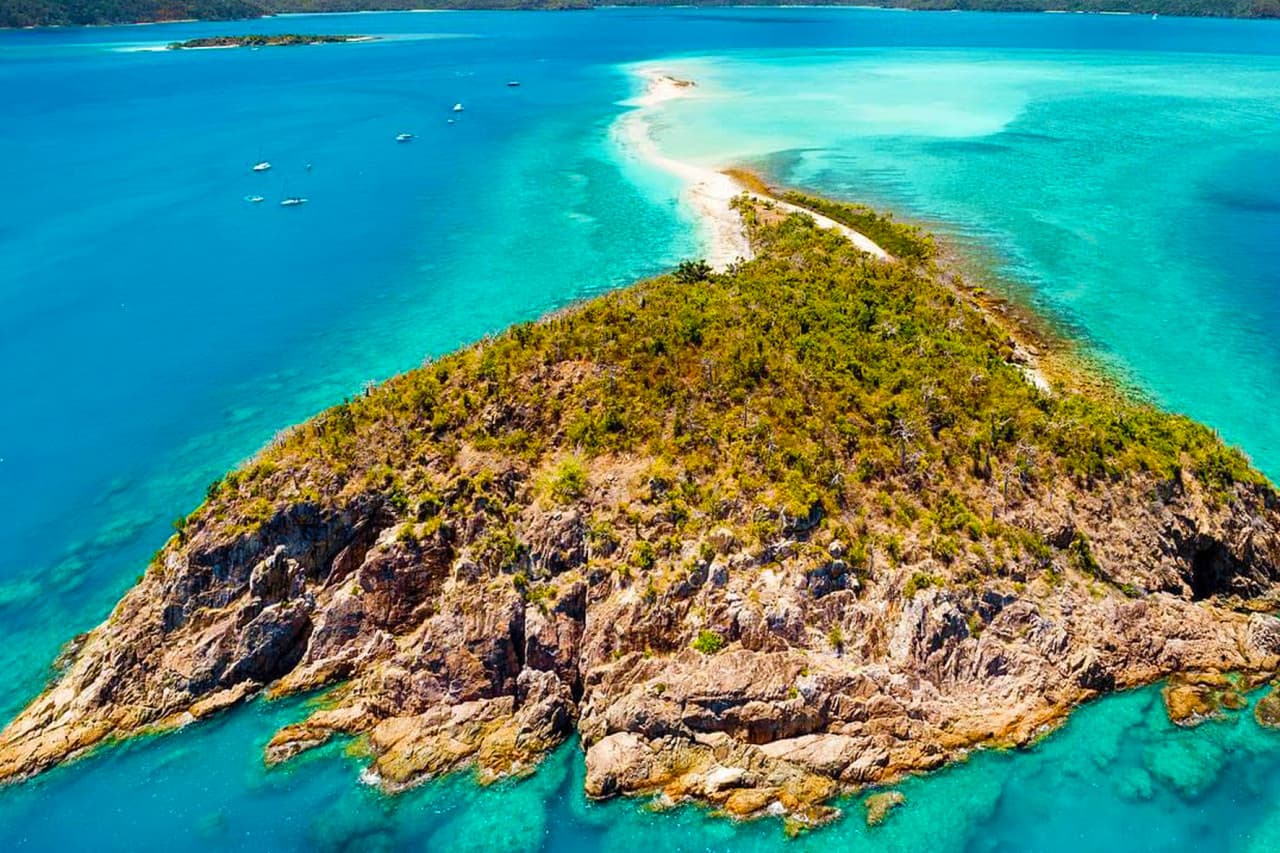 Tongarra Day Sailing Tour - تصویر 7