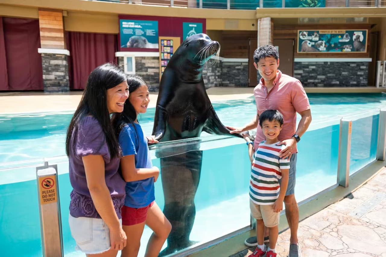 SeaWorld Orlando Ticket: Direct Entry + Optional All-Day Dining Deal + Multi-Park Discount Ticket - تصویر 7