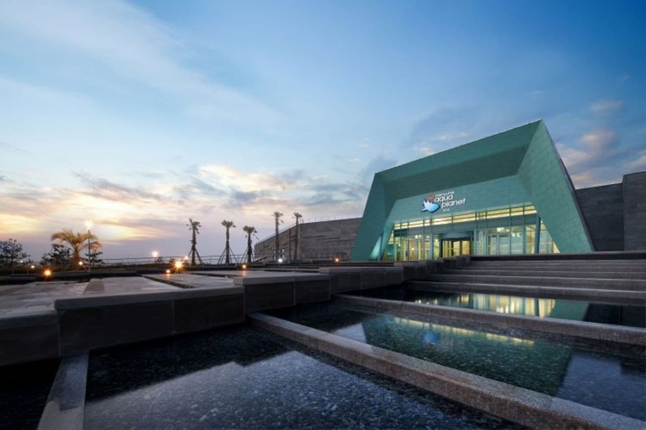 Aqua Planet Jeju Aquarium Ticket - تصویر 18