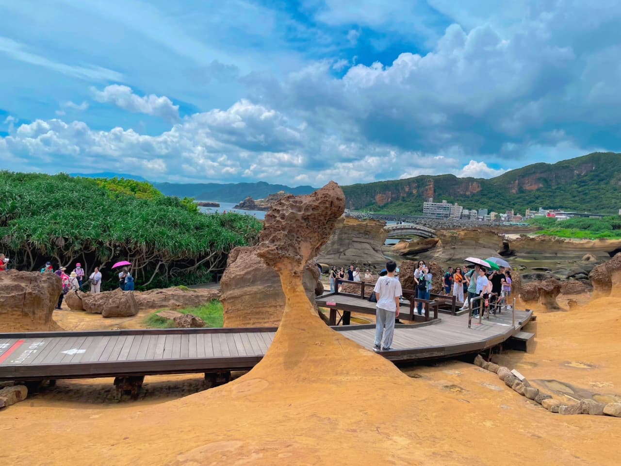 Yehliu, Jiufen, and Shifen Full-Day Tour from Taipei - تصویر 5