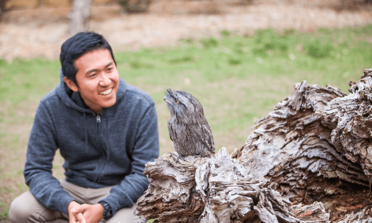Phillip Island with Penguin Parade Eco Tour - تصویر 28