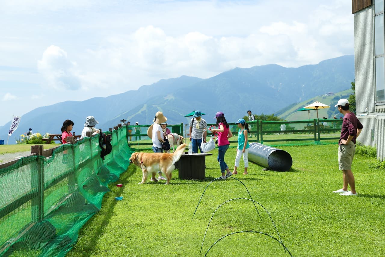 Hakuba Iwatake Mountain Resort - تصویر 7