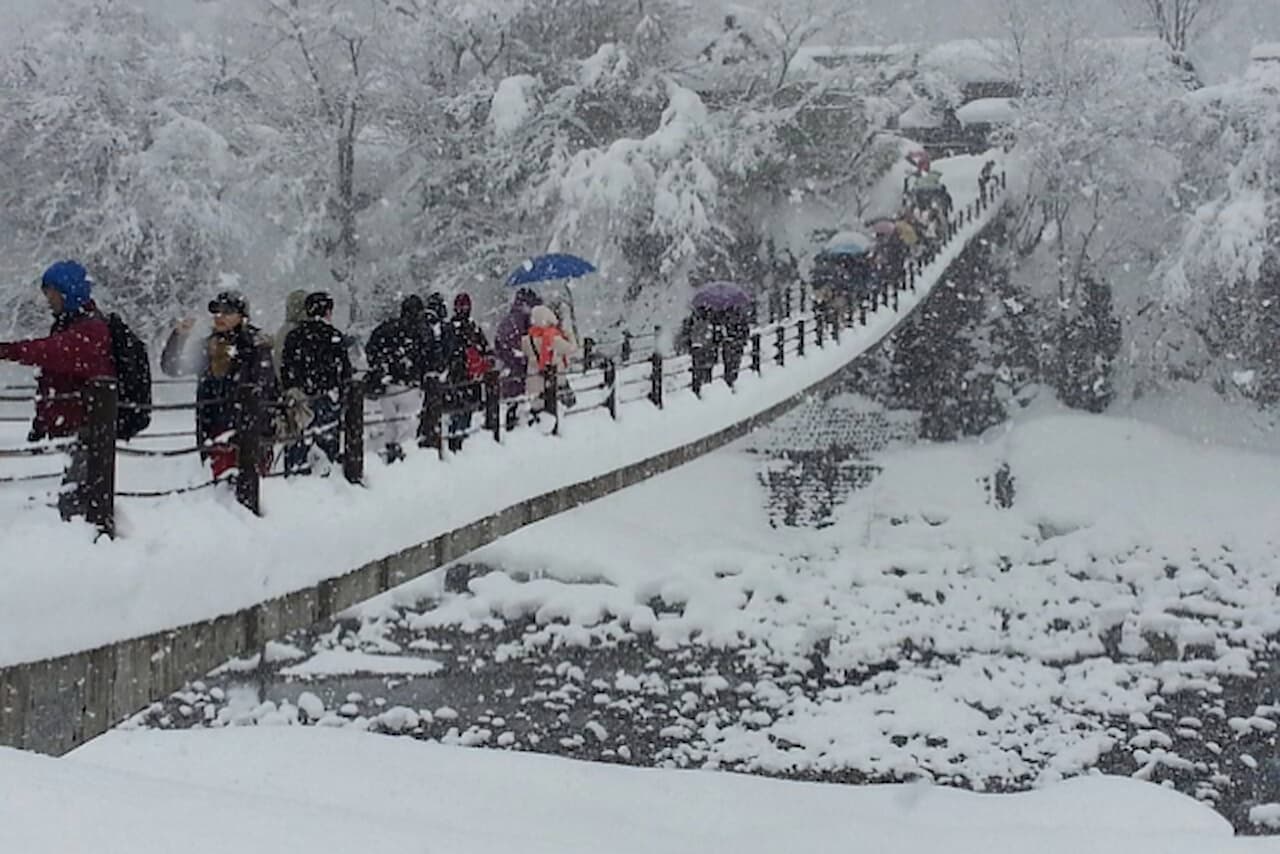 Ishikawa White Ring Bus Tour - تصویر 14