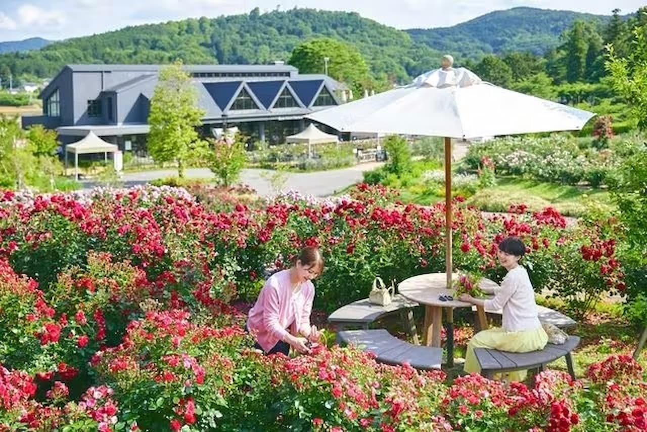 Ibaraki Flower Park Ticket - تصویر 4