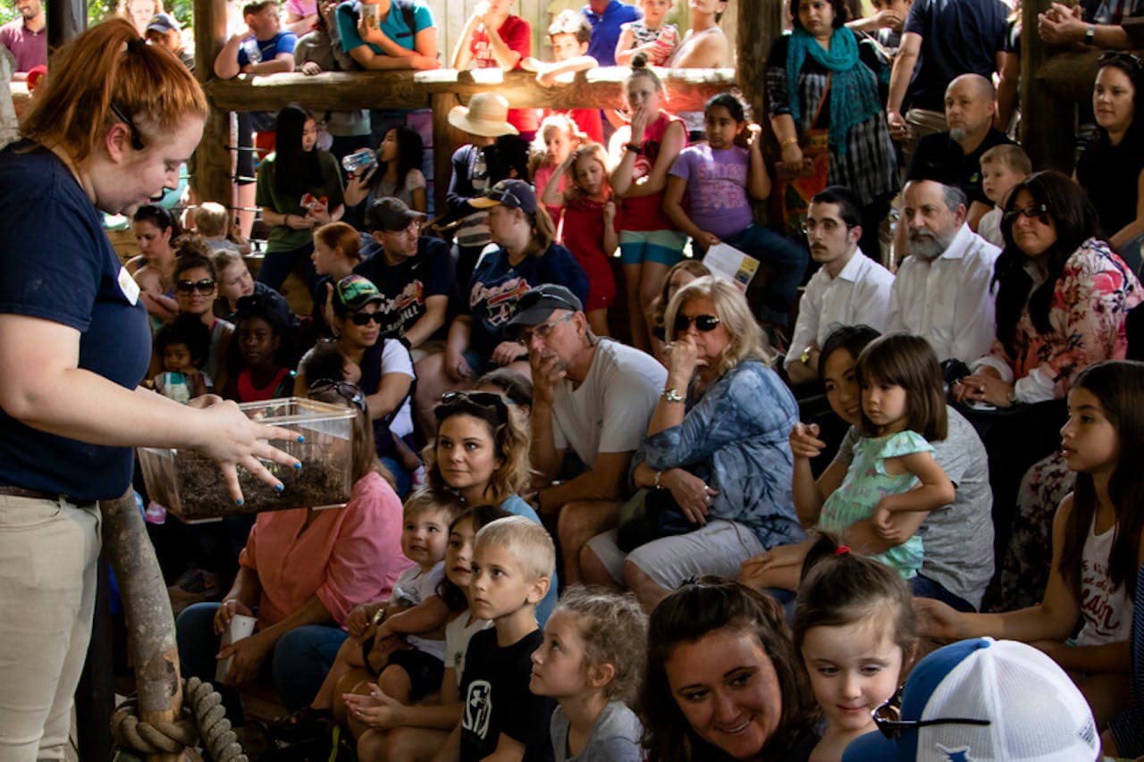 Zoo Atlanta Entry Ticket - تصویر 2