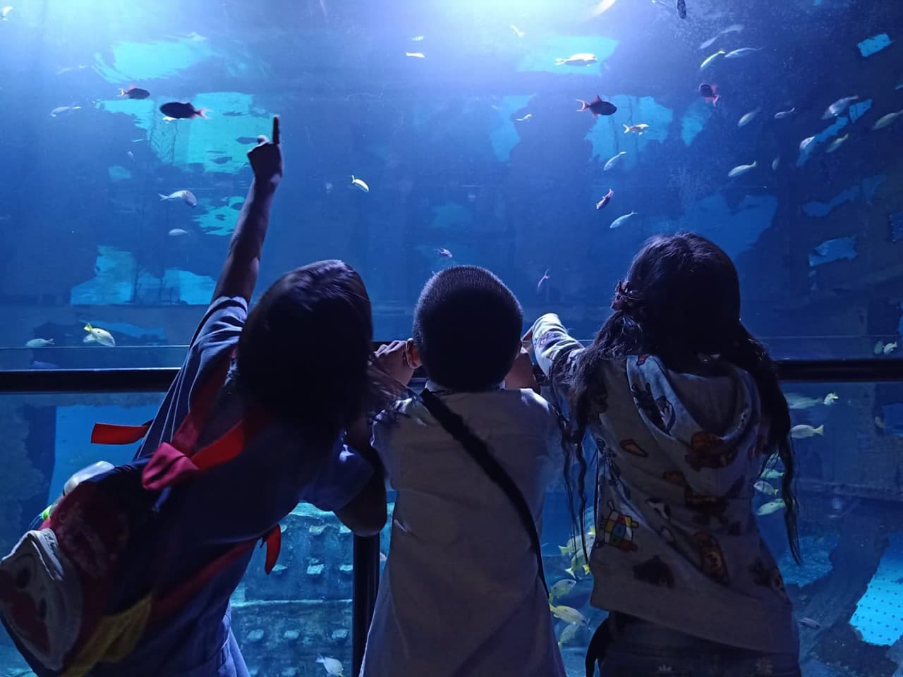 Aquaria Phuket - تصویر اصلی