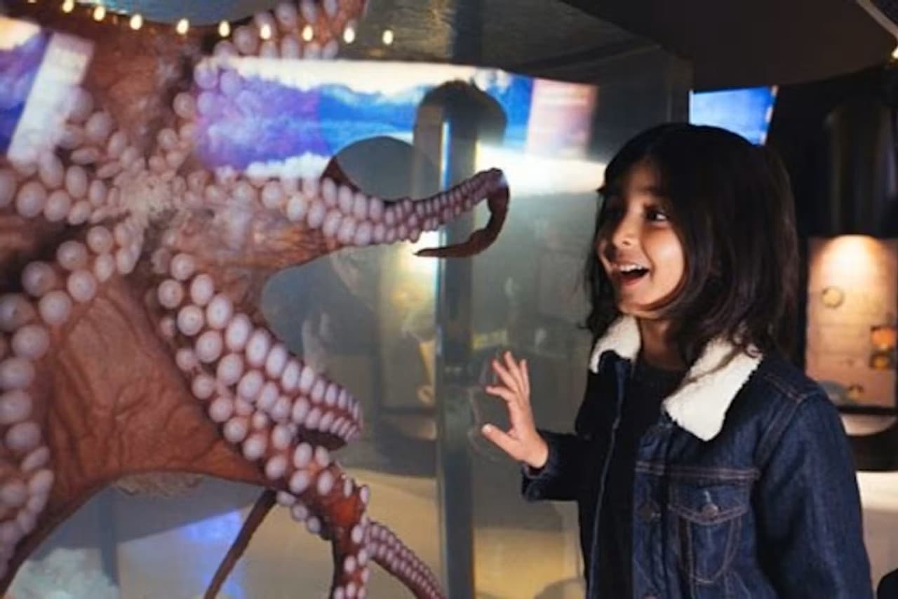 Vancouver Aquarium Ticket - تصویر 6