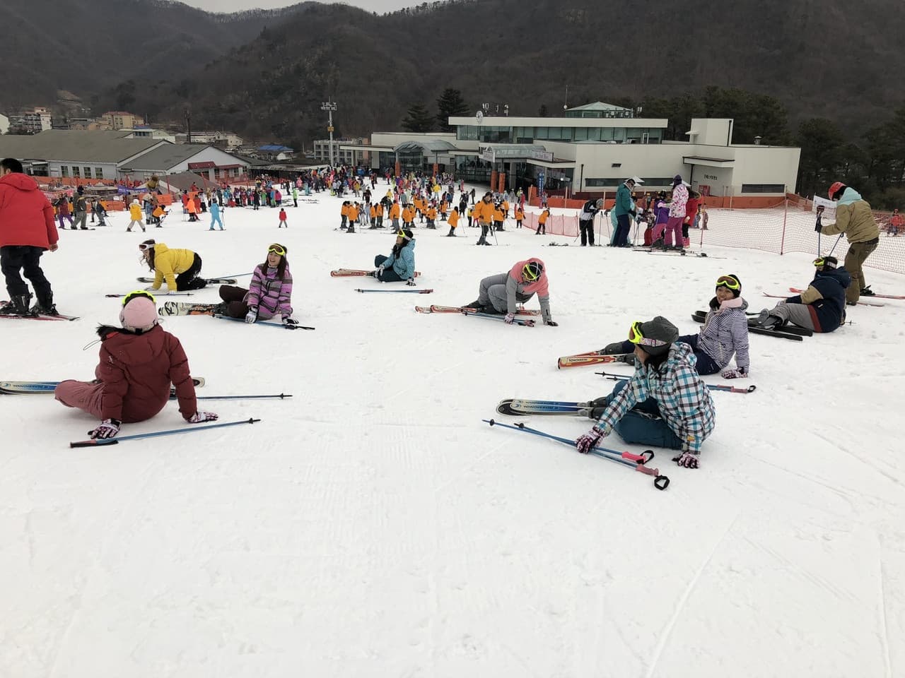 Jisan Forest Ski Resort Full-Day Tour from Seoul - تصویر 5