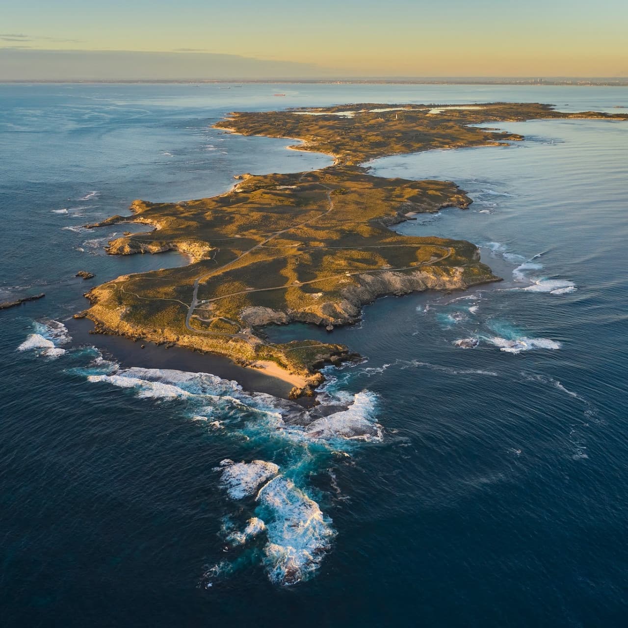 Rottnest Island Bayseeker Bus Tour with Round Trip SeaLink Ferry Transfer - تصویر 5