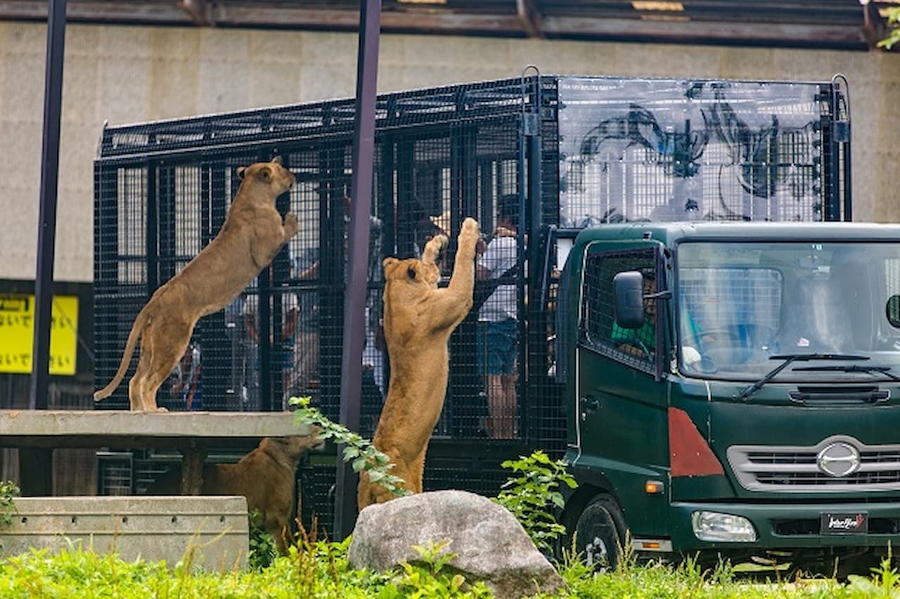 Nasu Safari Park Ticket - تصویر 5