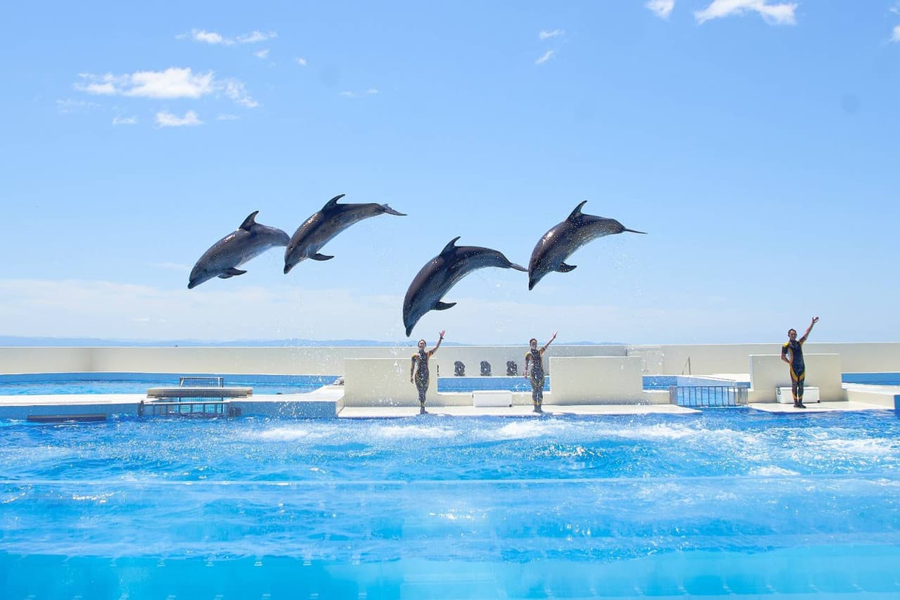Kobe Suma Sea World Ticket - تصویر 2