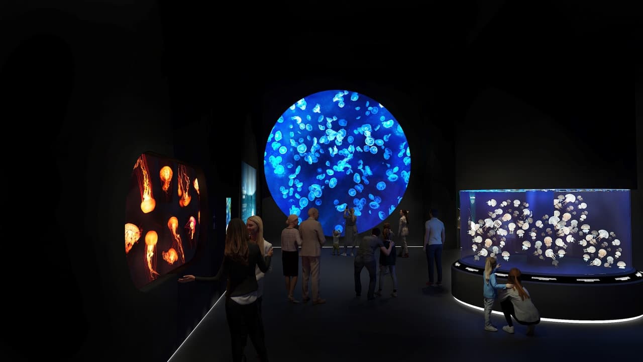 Singapore Oceanarium Insider Experience - تصویر 8