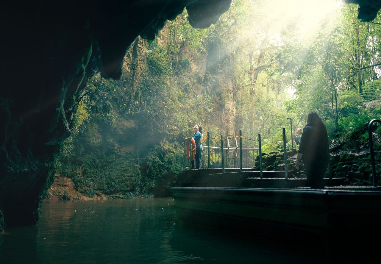 Waitomo Glowworm Caves Guided Tour - تصویر 2
