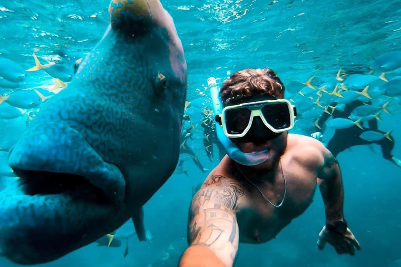 Tongarra Day Sailing Tour - تصویر 2