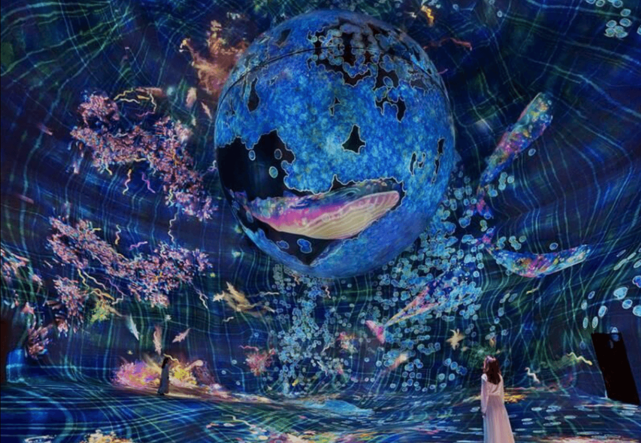 teamLab Phenomena Abu Dhabi Ticket - تصویر 6