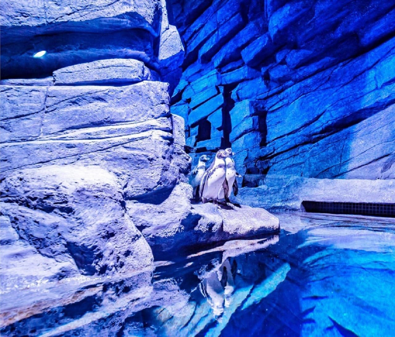 Aquaria Phuket - تصویر 9