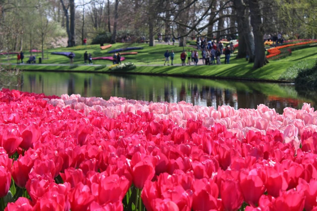 Keukenhof Gardens Ticket with Round Trip Bus Transfer from Amsterdam - تصویر 6