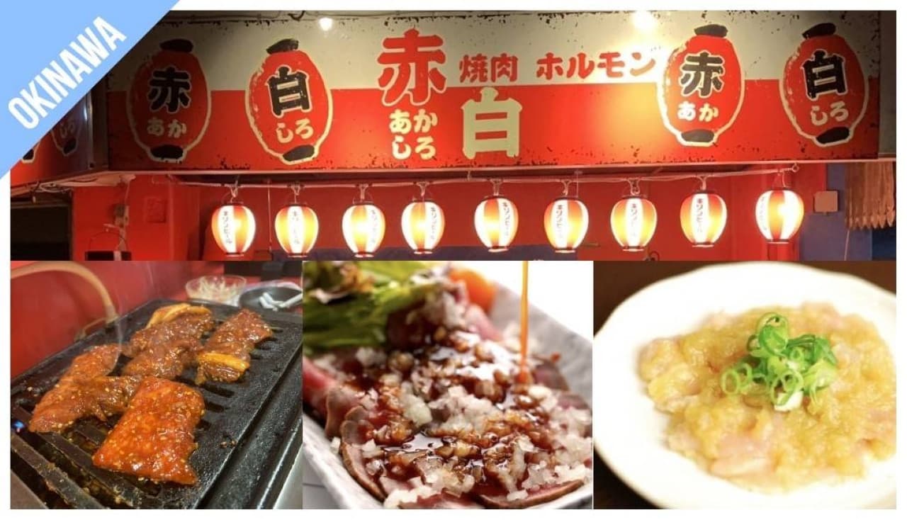 Have Fun in Okinawa Pass - 1 Week Free Pass - تصویر 13