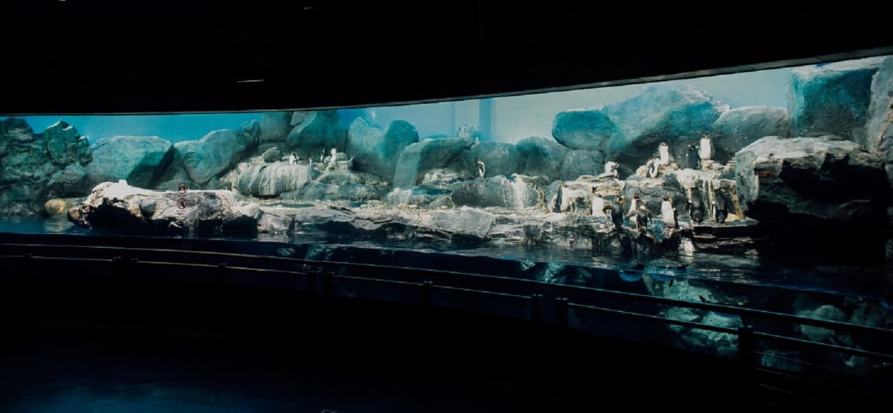 Underwater World Langkawi Ticket - تصویر 19