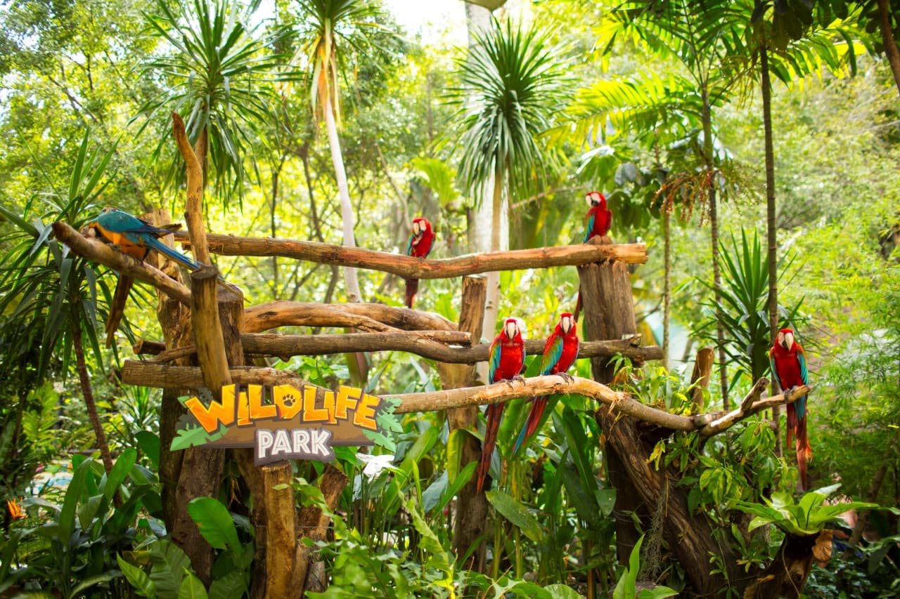 COMBO: Sunway Lagoon Theme Park Ticket + Quack Xpress Pass - تصویر 11