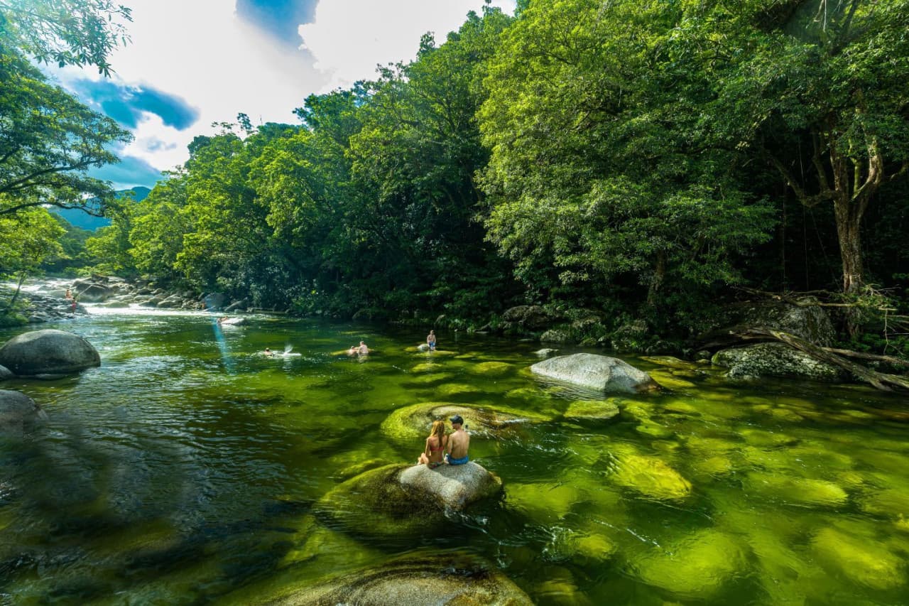Daintree, Mossman Gorge, and Wildlife Habitat Port Douglas Full-Day Tour - تصویر 4