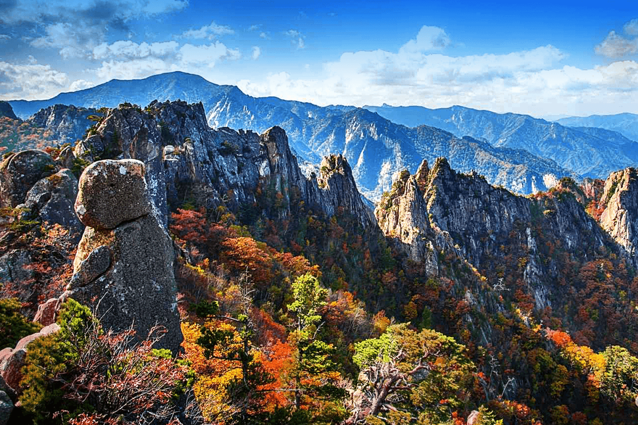 Nami Island and Mount Seorak Full-Day Tour from Seoul - تصویر 3