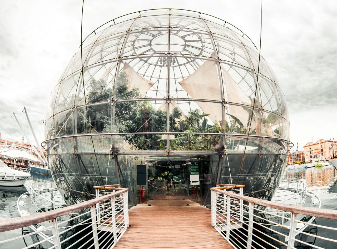 Biosphere: Fast Track Ticket - تصویر اصلی
