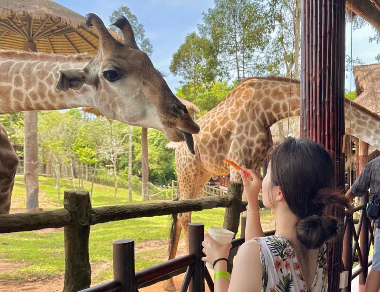 Vinpearl Safari Phu Quoc Ticket - تصویر 14