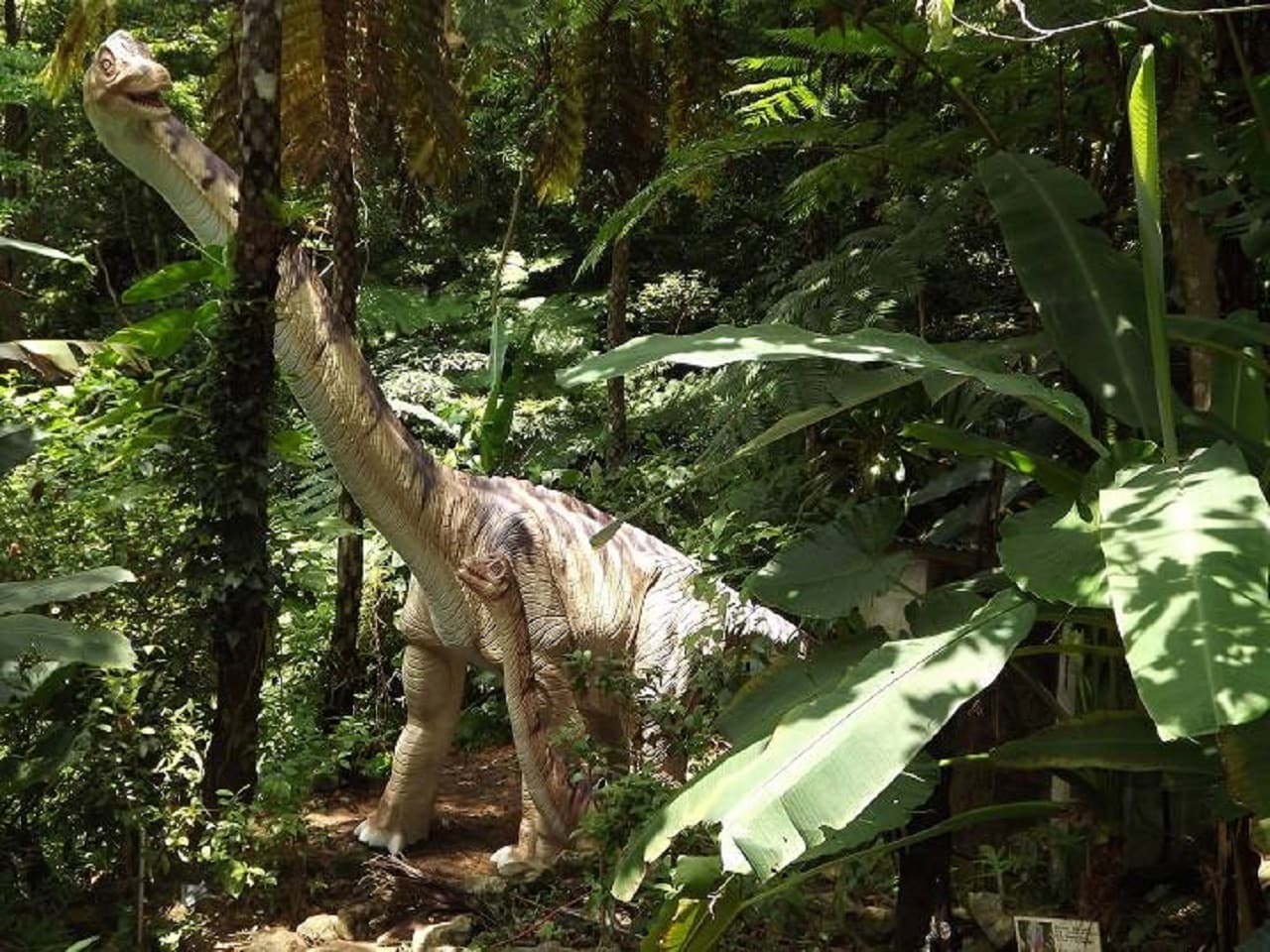 Okinawa Dino Park Yanbaru Subtropical Forest Ticket - تصویر 7