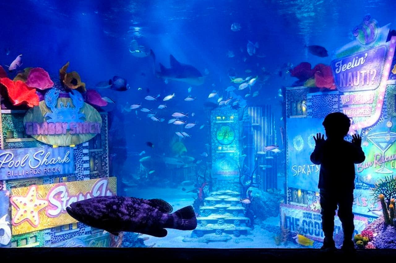 SEA LIFE New Jersey Aquarium Ticket - تصویر 8