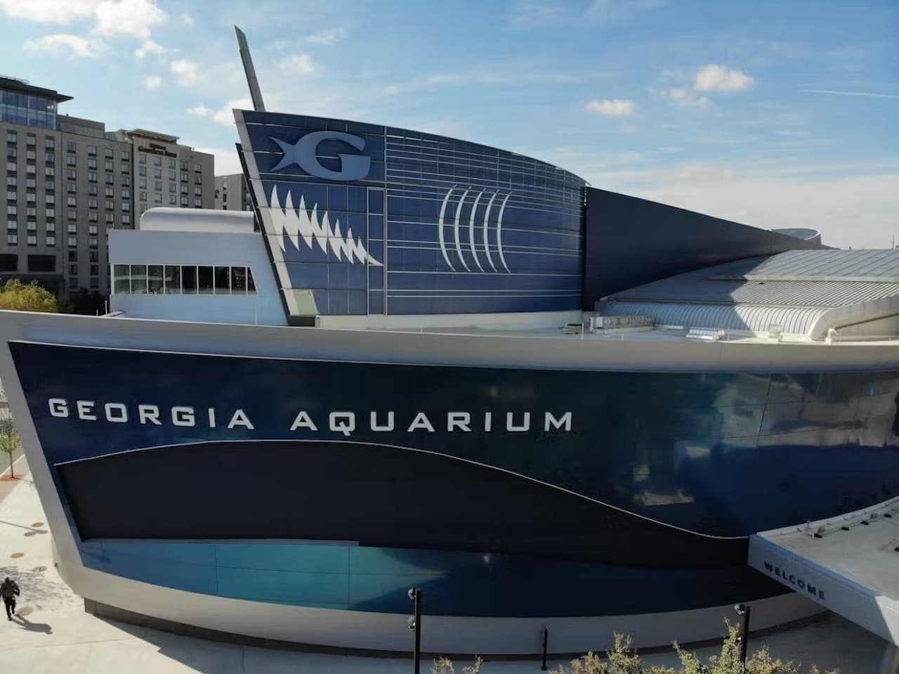 Georgia Aquarium: Fast Track Ticket - تصویر 9